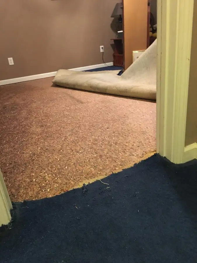 Carpet pad removal revealing water damage during Drying & Dehumidification in Ashland City