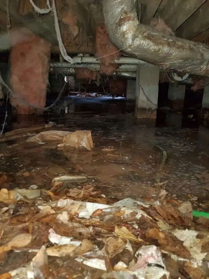 Crawl space flood assessment for Leak Detection & Repair in Ashland City