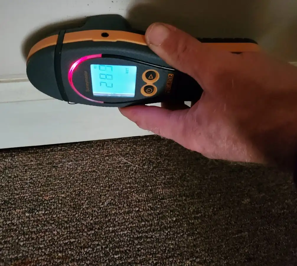 Moisture detection at baseboard during Sewage Cleanup & Sanitation in Ashland City